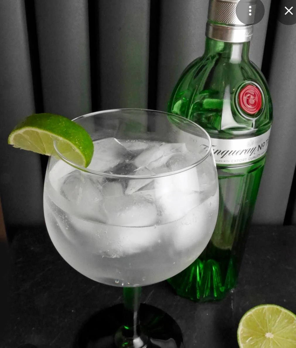 Gin and Tonic
